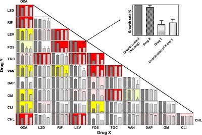 Synergistic Potential of Antimicrobial Combinations Against Methicillin-Resistant Staphylococcus aureus